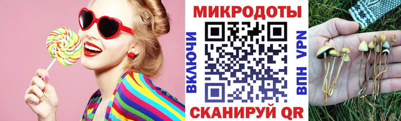 Купить Пошехонье Псилоцибиновые грибы Magic Shrooms
